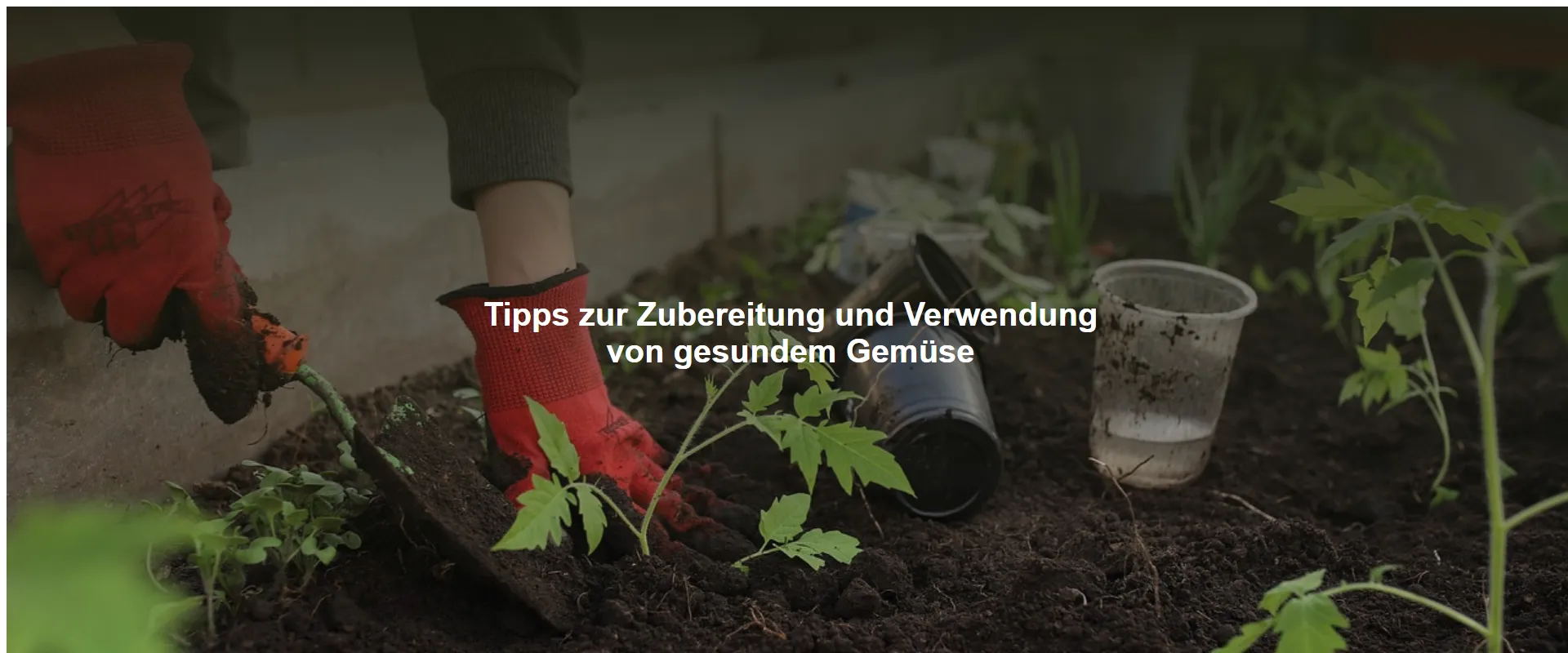 Tipps zur Zubereitung und Verwendung von gesundem Gemüse